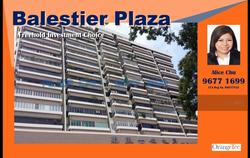Balestier Plaza (D12), Apartment #154141572